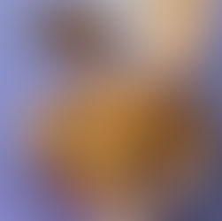 ホーチミンの屋台グルメ特集！ローカルに人気の屋台飯をご紹介