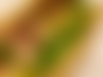 ホーチミンで外せないベトナム料理3選｜本場の味を楽しむおすすめガイド