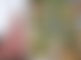 ホーチミンで絶品のフォーを堪能！3区タンディン教会周辺おすすめ店紹介【スターキッチン 】