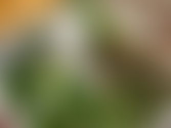 ハノイ観光で外せない！絶品フォーの名店『Phở Thìn』を徹底解説