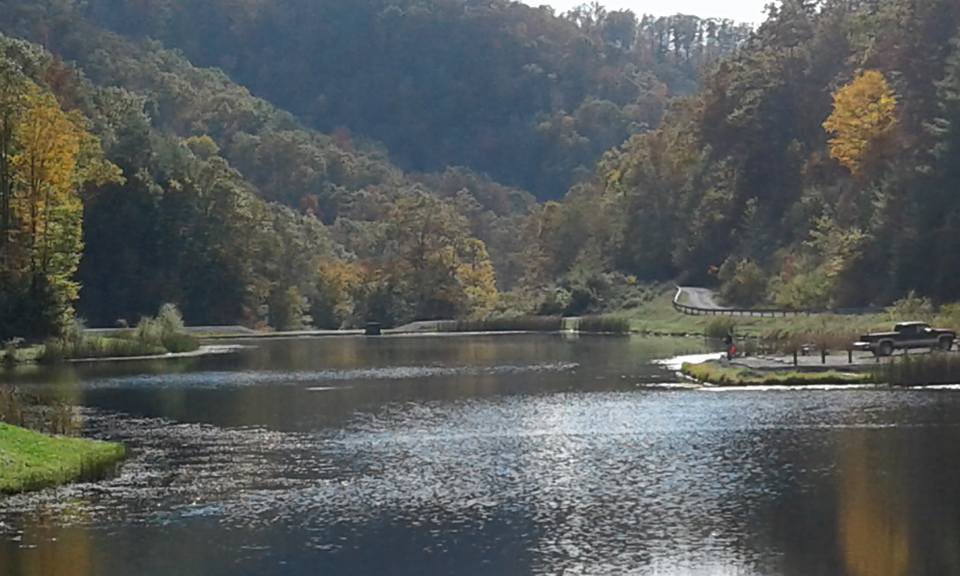 Picture Gallery II headofthedragonwv