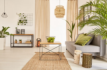 salon vert - copie.jpg