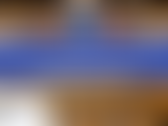 Вибори до Європарламенту: перебіг подій, результати та успіх правих партій. Який вплив це матиме для України?