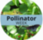 Pollinator Week