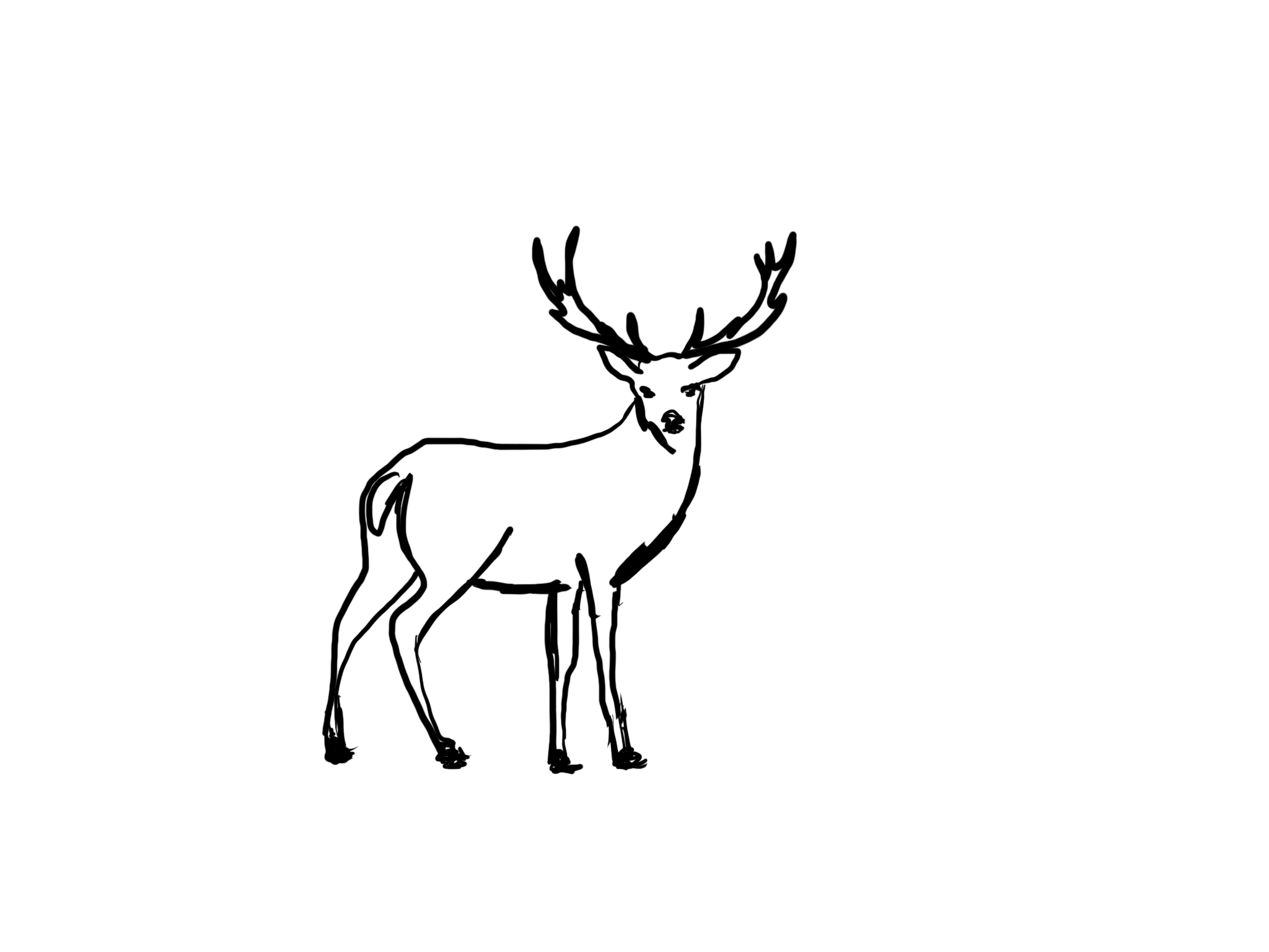 Hirsch.gif
