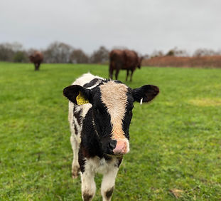 Agriculture