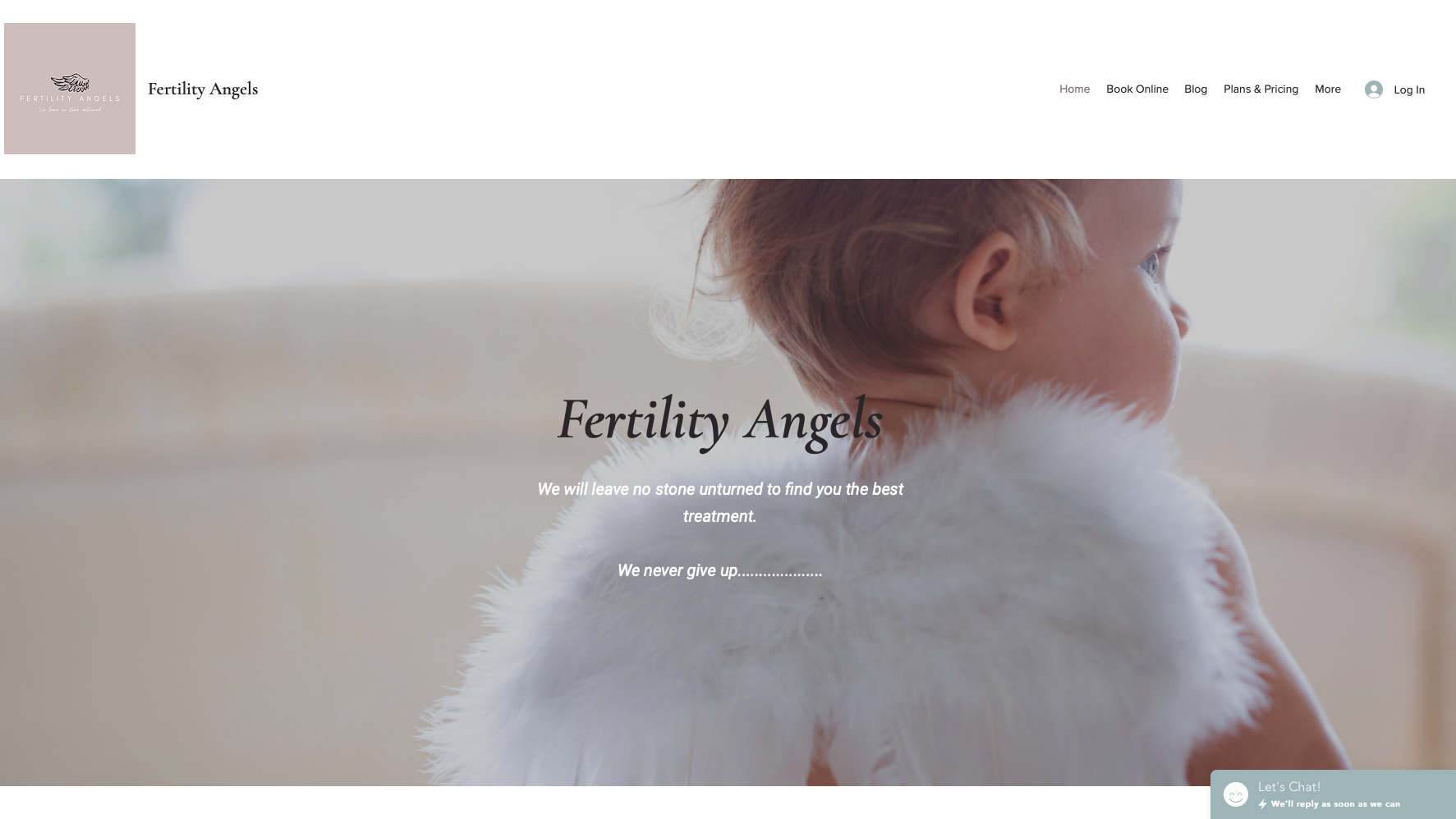 Fertility Angels