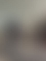 SEEPH : UNE SEMAINE POUR L'INCLUSION