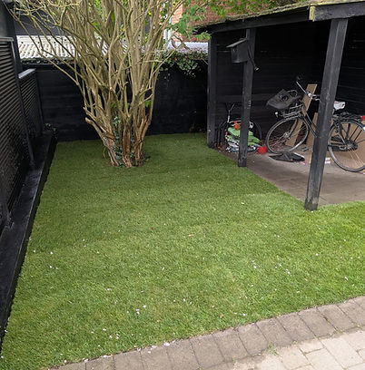 AEGIS Studio & Haveservice Rullegræs i Sjelland Rullegræs i København Mihai Marmureanu Gar