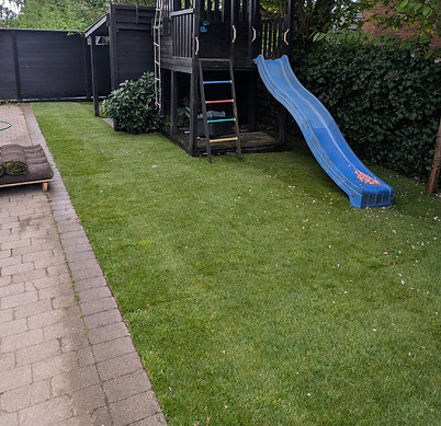 AEGIS Studio & Haveservice Rullegræs i Sjelland Rullegræs i København .jpg