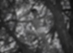 enhanced_Screenshot 2025-11-10 at 15-29-54.jpg