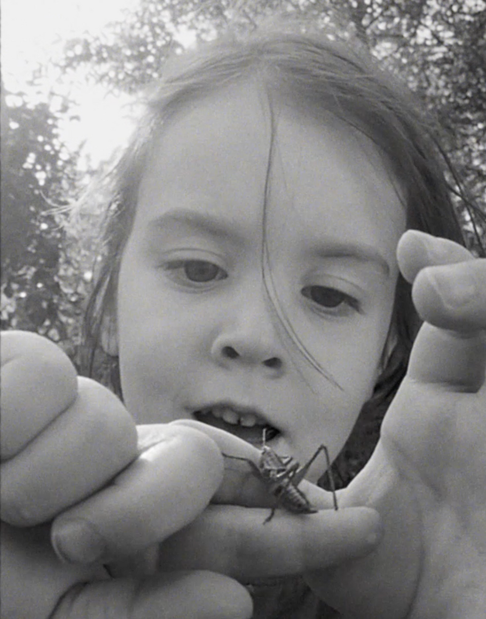 Screenshot 2025-11-28 at 09.44.46.png