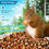 Thumbnail: Naipo Bird Feeder, Camera for Automatic Bird Video Capture and Motion Detection