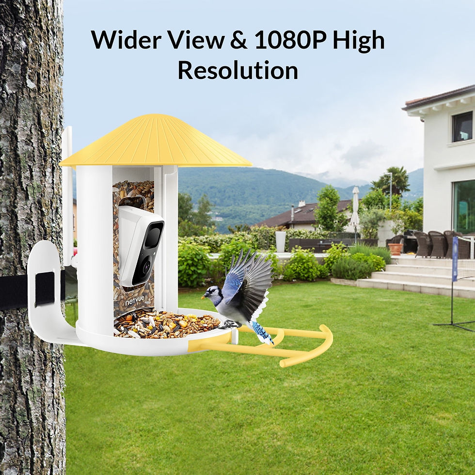 Netvue birdify bird feeder with camera and solar panel