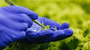 Tecnologias IB de bioinsumos trazem benefício econômico de R$ 398,5 milhões anuais para agro brasile