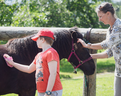 KJ Equine Balance Lasten hevostoiminta Muuramessa