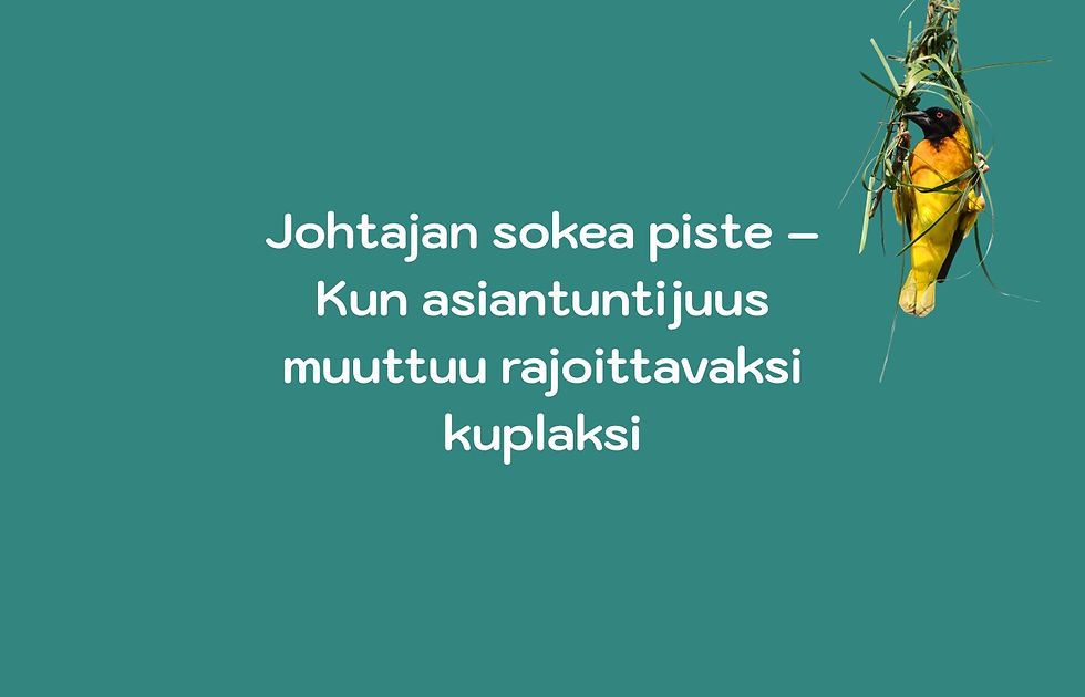 Johtajan sokea piste - kun asiantuntemus muuttuu rajoittavaksi kuplaksi