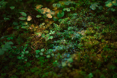 Markkinointivalmennus - Instagram ja LinkedIn