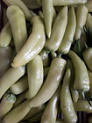piment hongario.jpeg