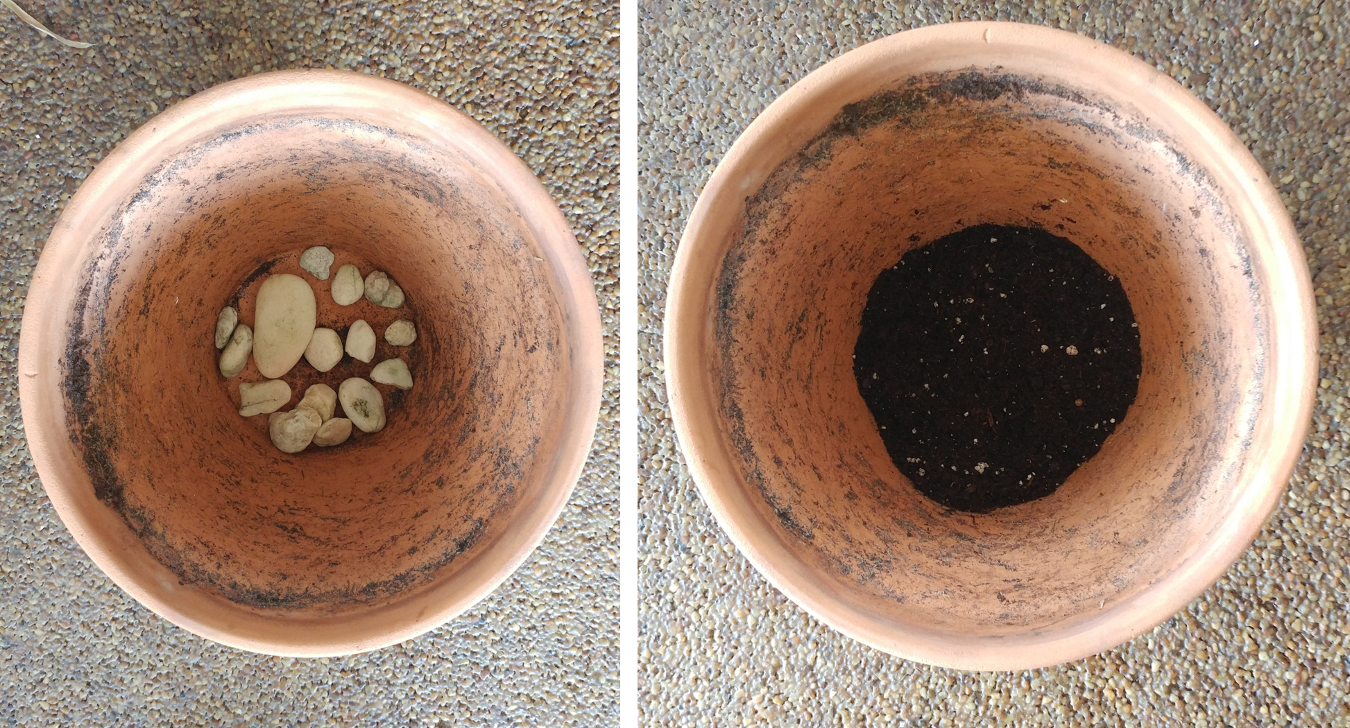 Adding drainage rocks to new pot