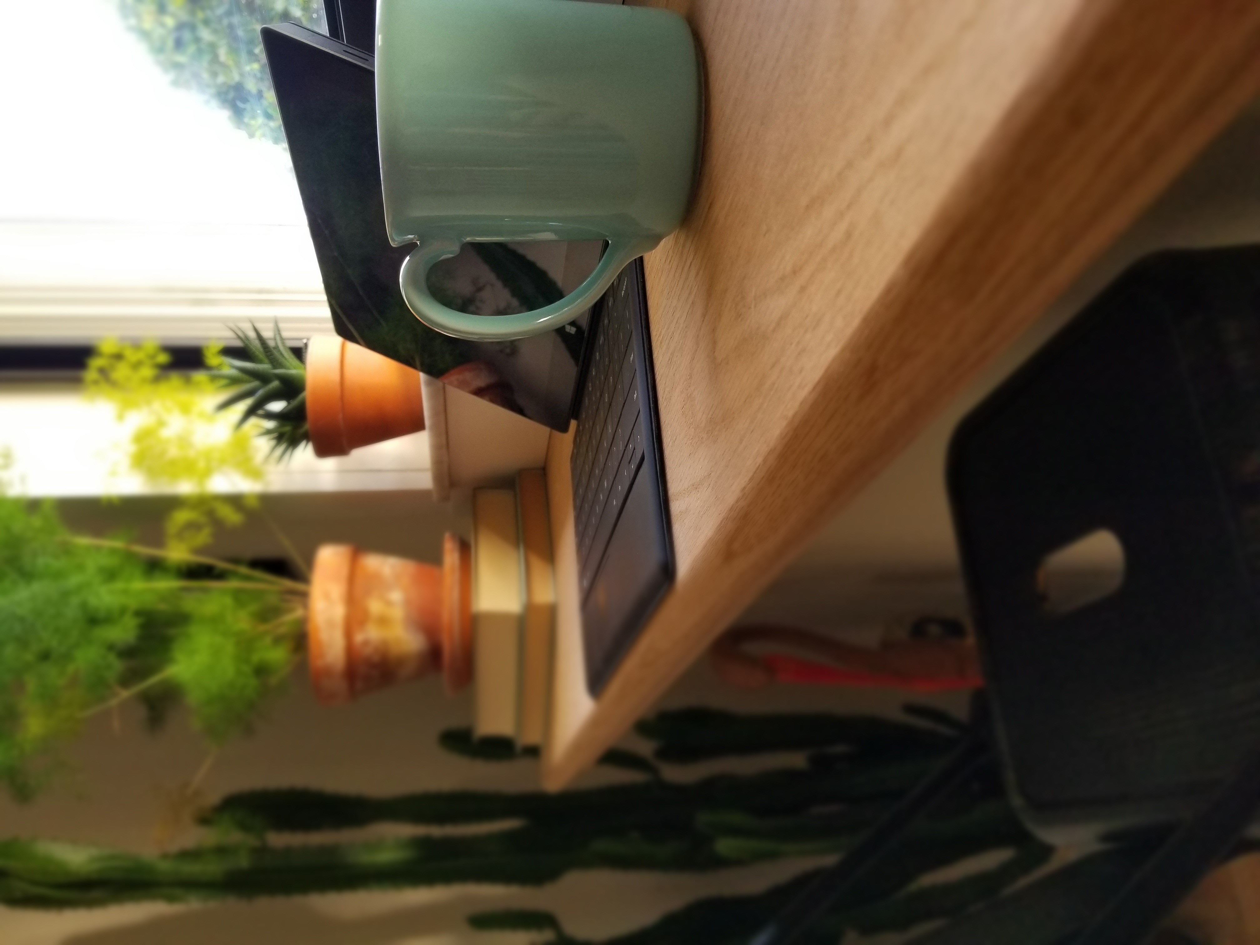 Completed oak window bar styled with plants