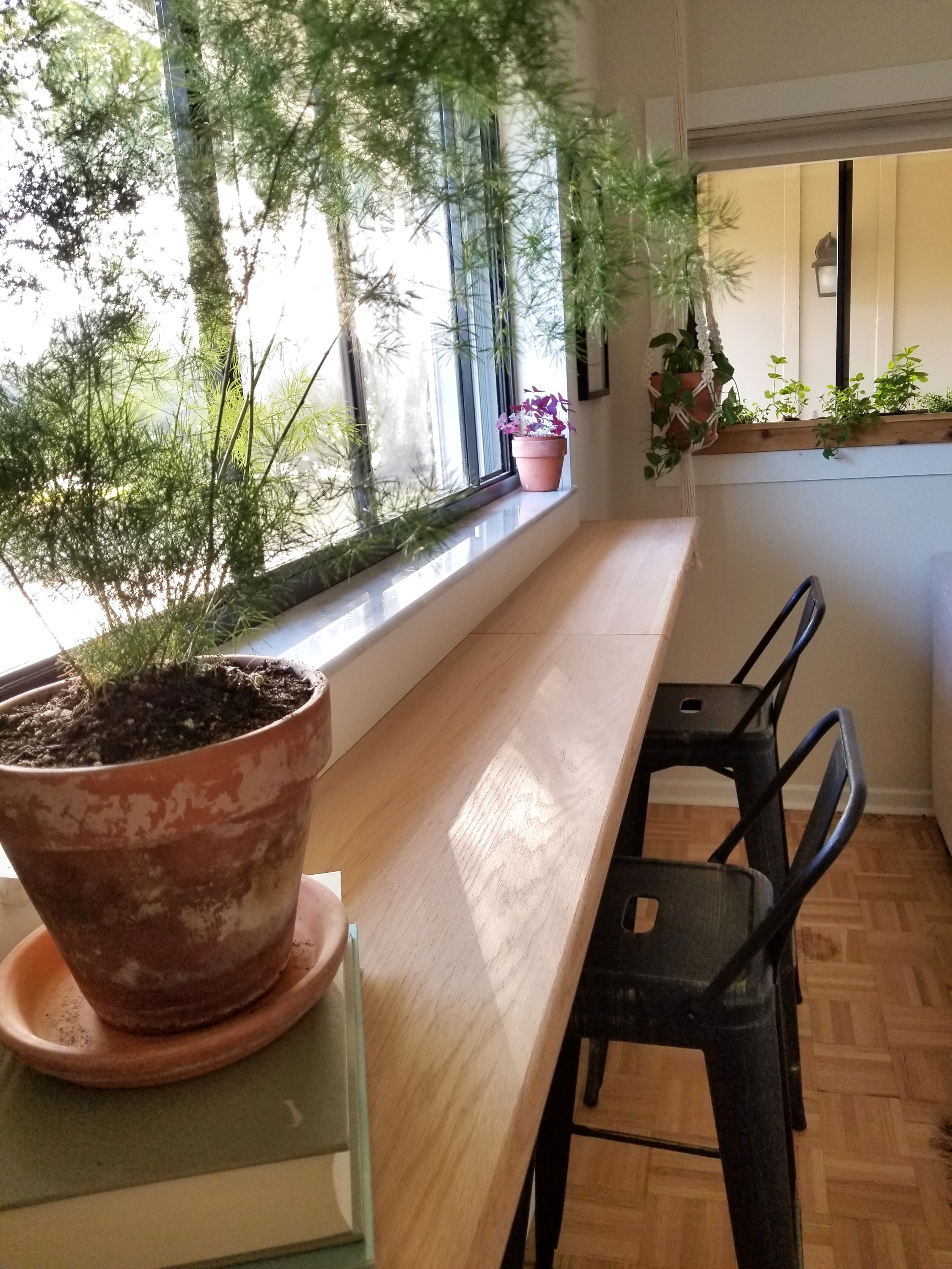 Finished oak window bar with plants and bar stools