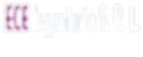 ECE_SEM FUNDO (2).png