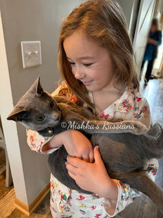 Mishka's Russians Model & Her Russian Blue Kitten