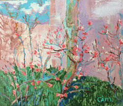 Весна.Амстердам/Spring.Amsterdam