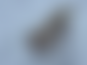 Did Lincoln Sabs Steal a Hound? The Evidence Mounts