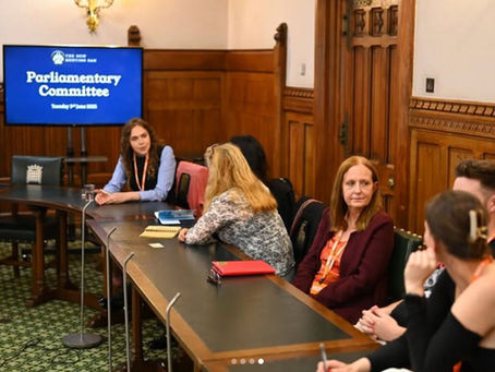 Vanishing Acts: Has the New Hunting Ban quietly scrapped its ‘Parliamentary Committee’?