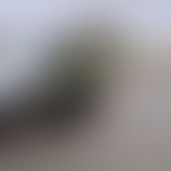 Luke Tucker: Too lardy to leg it 