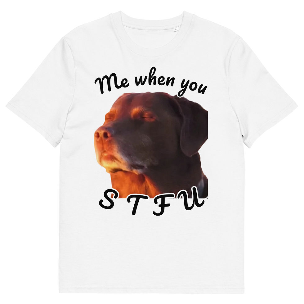 Thumbnail: "Me when you STFU" Meme T-Shirt I 100% Economic Cotton
