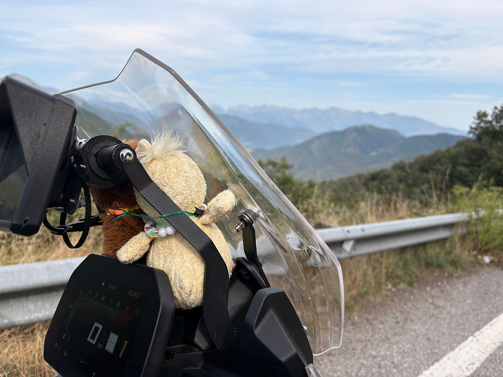 Lulu and Moo soft toys holding each other looking over a view in Spain