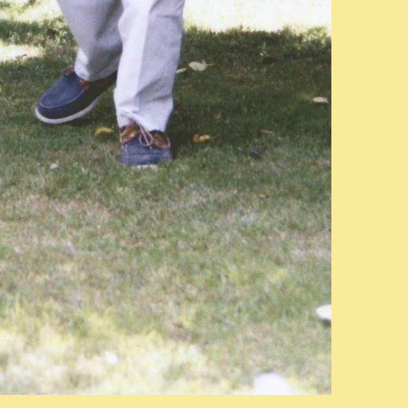 26.gif