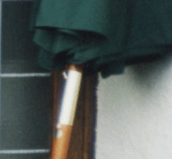 feb 16.gif