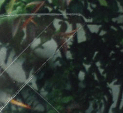 feb 24.gif