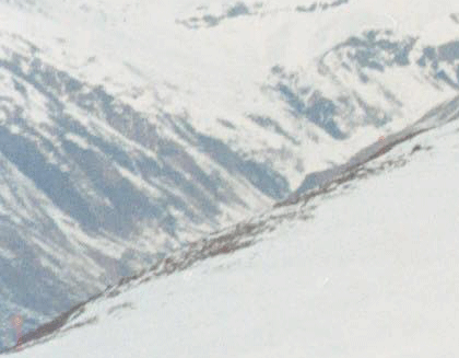 16.gif