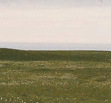 16.gif