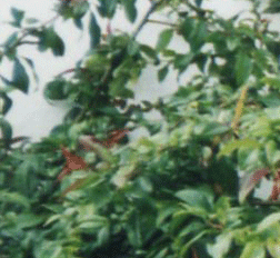 feb 10.gif