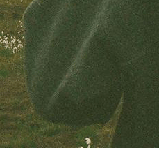 24.gif