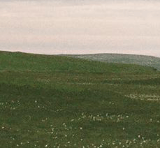 13.gif