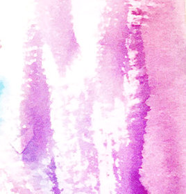 17.gif