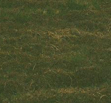 30.gif