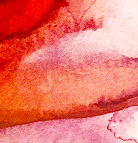 28.gif