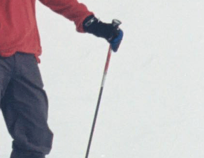 29.gif
