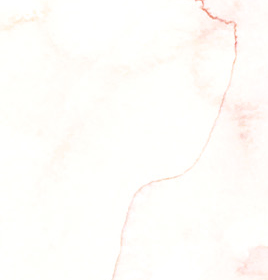6.gif