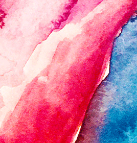 8.gif