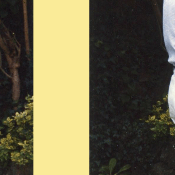 15.gif