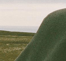 17.gif